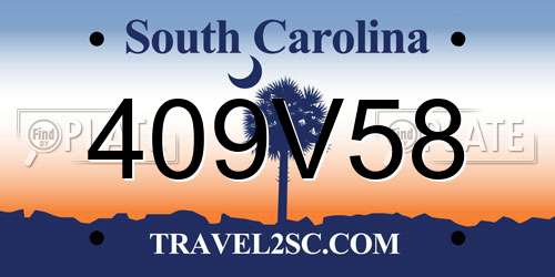 409V58 South Carolina License Plate