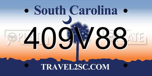 409V88 South Carolina License Plate