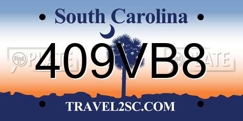 409VB8 South Carolina License Plate