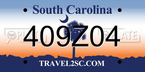 409Z04 South Carolina License Plate