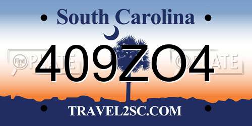 409ZO4 South Carolina License Plate