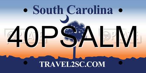 40PSALM South Carolina License Plate