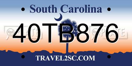 40TB876 South Carolina License Plate