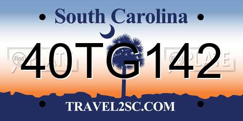 40TG142 South Carolina License Plate