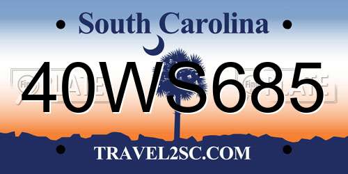 40WS685 South Carolina License Plate