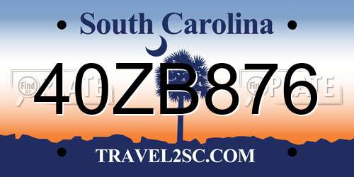 40ZB876 South Carolina License Plate