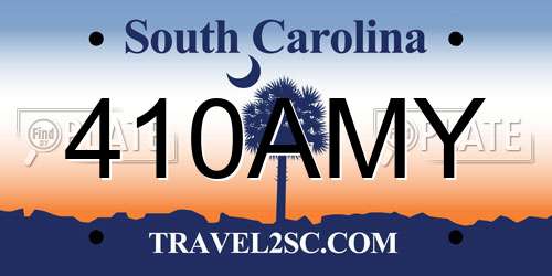 410AMY South Carolina License Plate