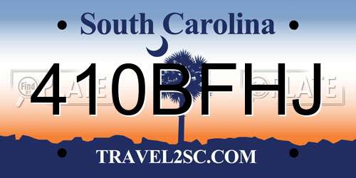410BFHJ South Carolina License Plate