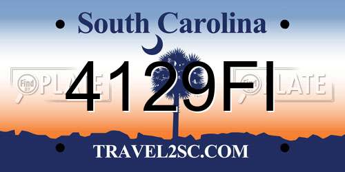 4129FI South Carolina License Plate