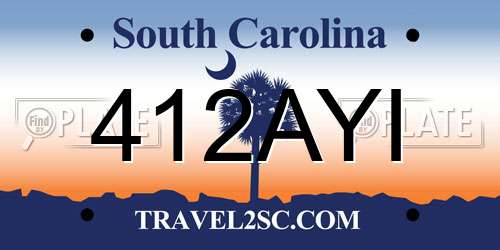 412AYI South Carolina License Plate