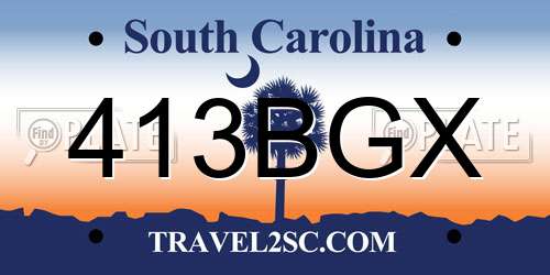 413BGX South Carolina License Plate