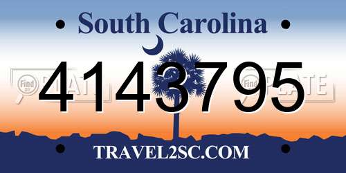 4143795 South Carolina License Plate
