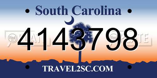 4143798 South Carolina License Plate