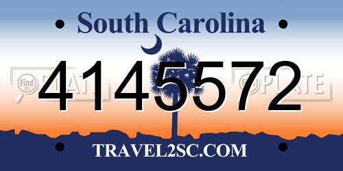 4145572 South Carolina License Plate