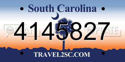 4145827 South Carolina License Plate