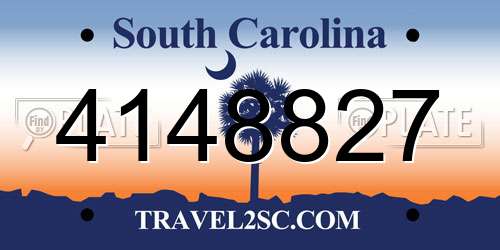4148827 South Carolina License Plate