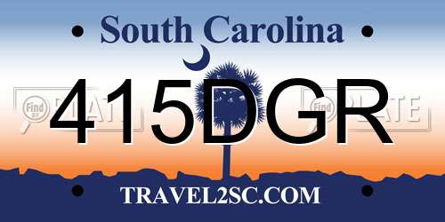 415DGR South Carolina License Plate