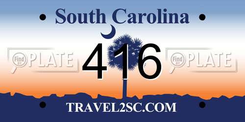 416 South Carolina License Plate