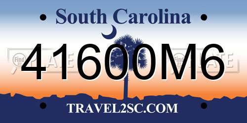 41600M6 South Carolina License Plate