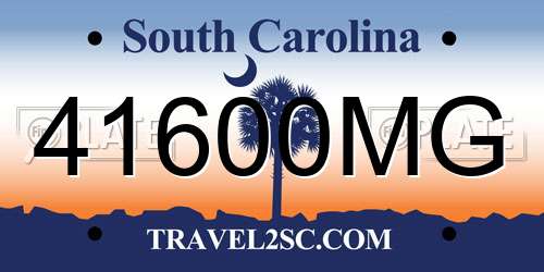 41600MG South Carolina License Plate