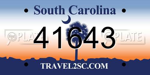 41643 South Carolina License Plate