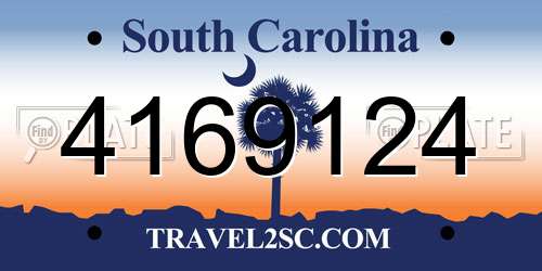 4169124 South Carolina License Plate