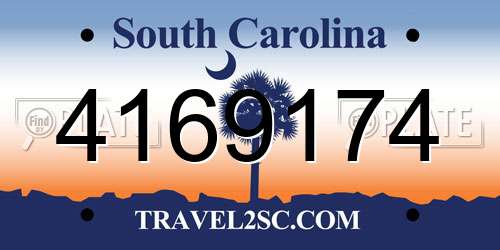 4169174 South Carolina License Plate