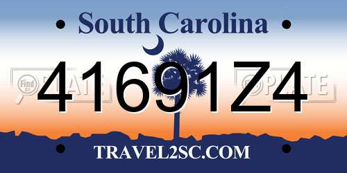 41691Z4 South Carolina License Plate