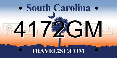 4172GM South Carolina License Plate