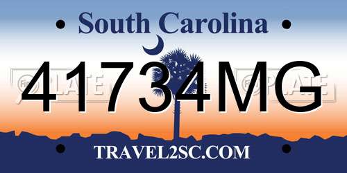 41734MG South Carolina License Plate