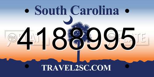 4188995 South Carolina License Plate