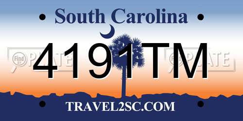 4191TM South Carolina License Plate