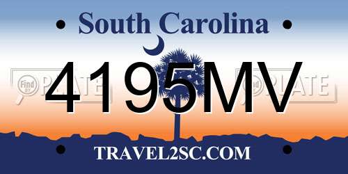 4195MV South Carolina License Plate