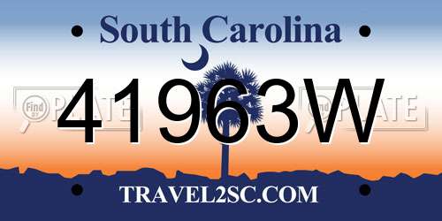 41963W South Carolina License Plate