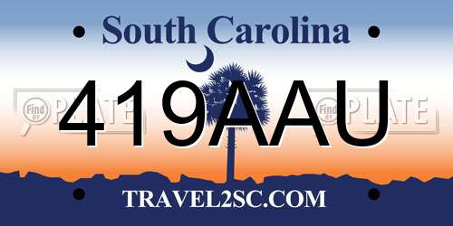 419AAU South Carolina License Plate