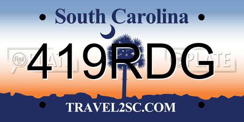 419RDG South Carolina License Plate