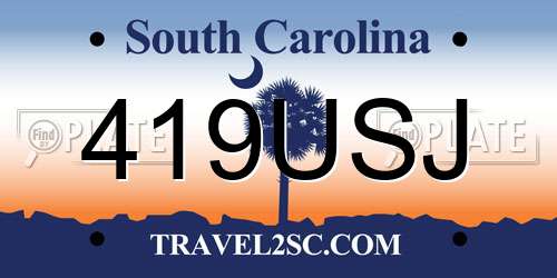 419USJ South Carolina License Plate