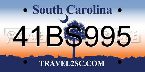 41BS995 South Carolina License Plate