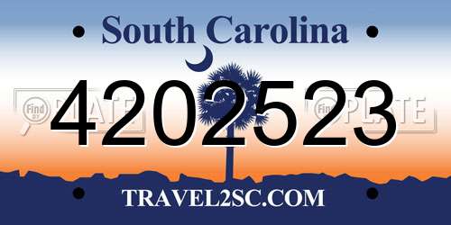 4202523 South Carolina License Plate