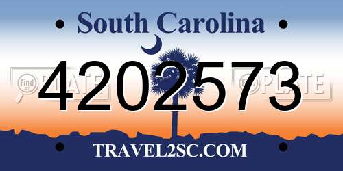 4202573 South Carolina License Plate