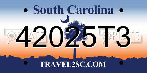 42025T3 South Carolina License Plate