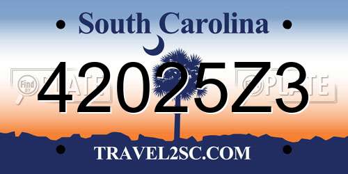 42025Z3 South Carolina License Plate