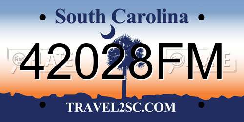 42028FM South Carolina License Plate