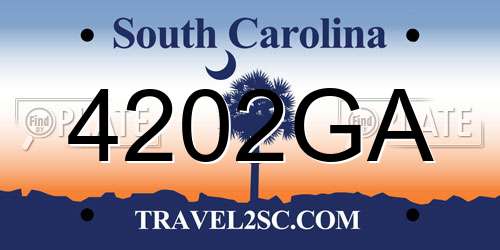 4202GA South Carolina License Plate