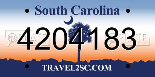 4204183 South Carolina License Plate