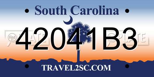 42041B3 South Carolina License Plate