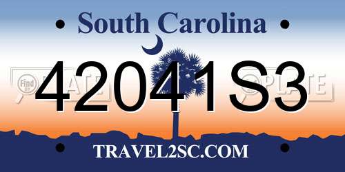 42041S3 South Carolina License Plate