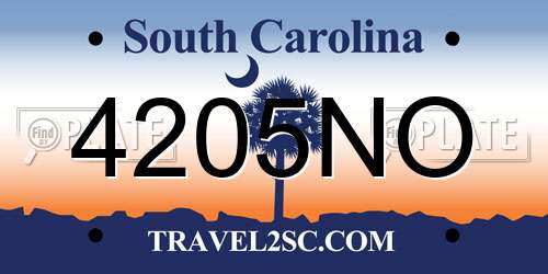 4205NO South Carolina License Plate