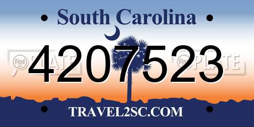 4207523 South Carolina License Plate