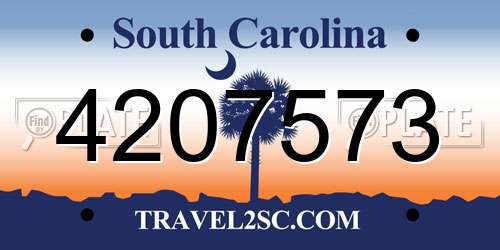 4207573 South Carolina License Plate